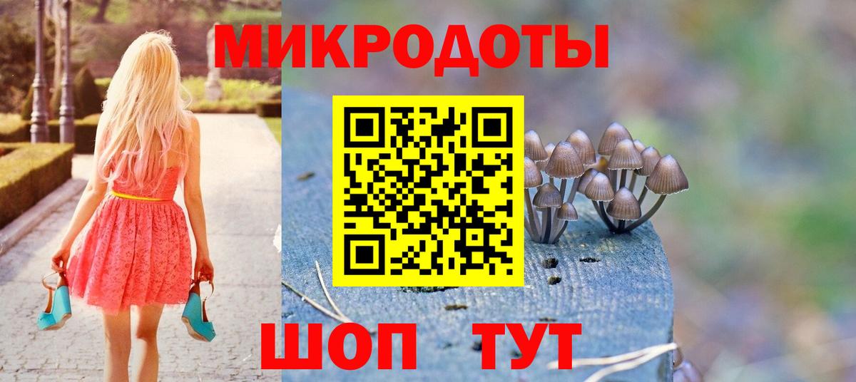 Воронеж  закладка  Вход с VPN  Псилоцибиновые грибы мухоморы 